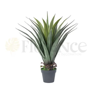 Cactus Plant - 3Ft