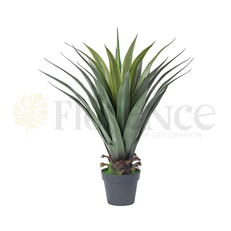 Cactus Plant - 3Ft