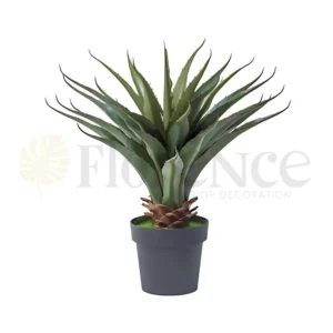 Cactus Plant - 2.3 Ft