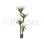 Cactus 4-Step Plant - 6 Ft