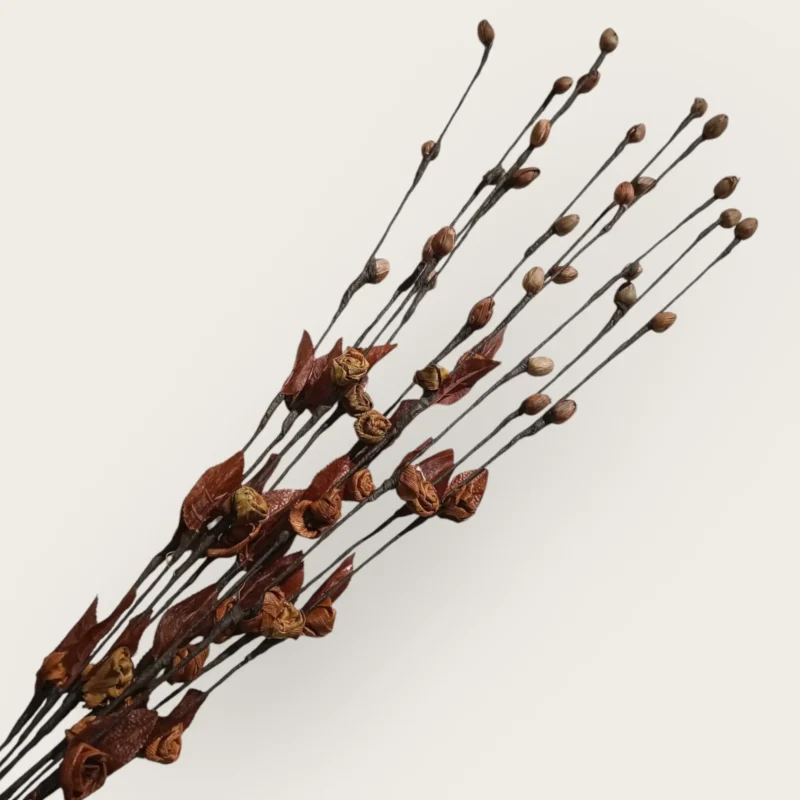 Dry Mini Rose (Pack Of 10 Sticks) - Image 2