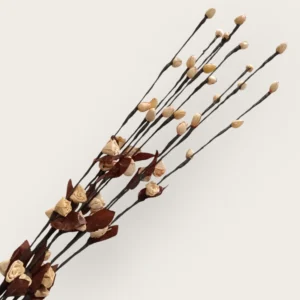 Dry Mini Rose (Pack Of 10 Sticks)
