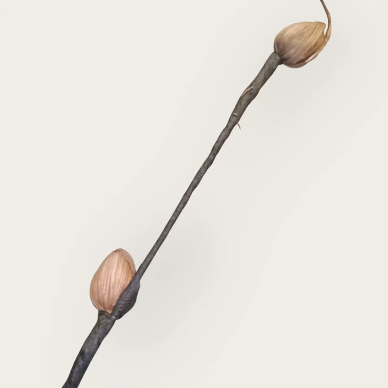 Dry Mini Rose (Pack Of 10 Sticks) - Image 5