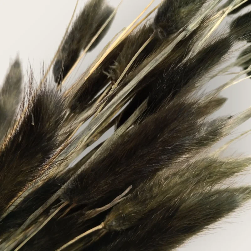 Dry Bunny Tail (Pack Of 50 Tails) - Image 7
