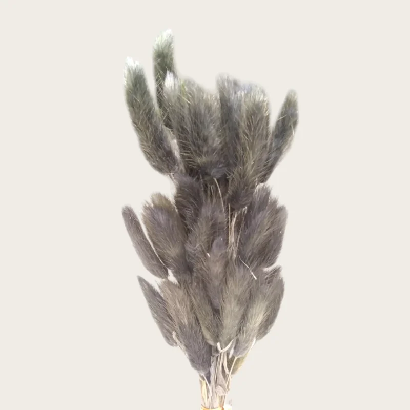 Dry Bunny Tail (Pack Of 50 Tails) - Image 6