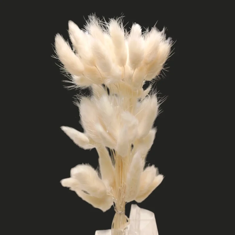 Dry Bunny Tail (Pack Of 50 Tails) - Image 11