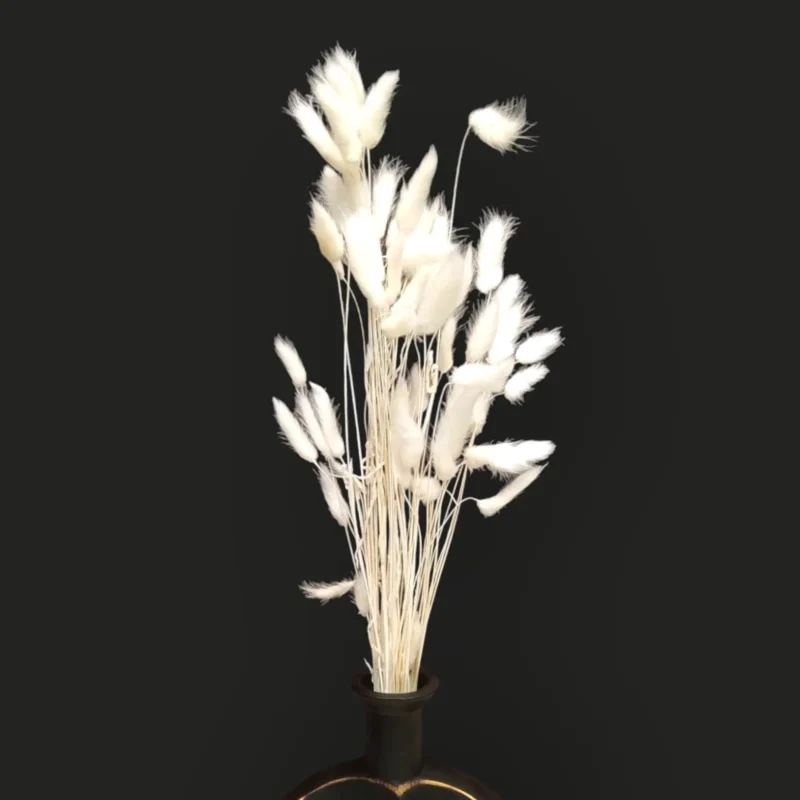 Dry Bunny Tail (Pack Of 50 Tails) - Image 5