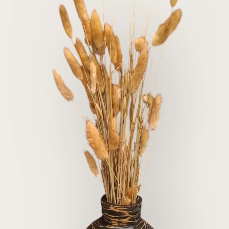 Dry Bunny Tail (Pack Of 50 Tails) - Image 10