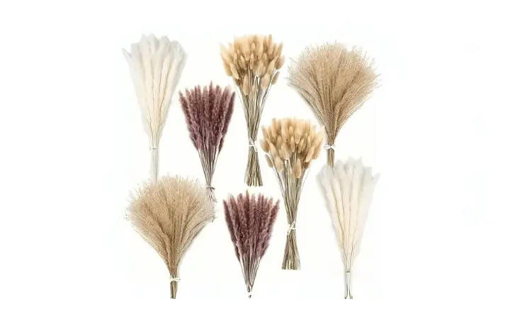Dry Flowers
