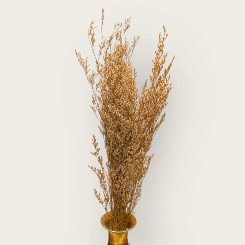 Dry Jipso (Packet As Shown) - Image 7