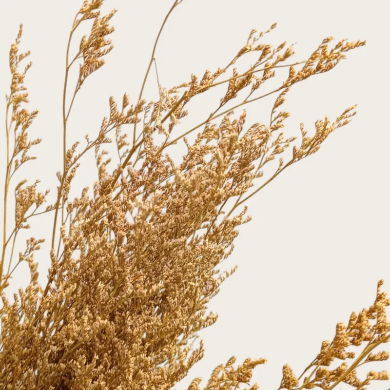 Dry Jipso (Packet As Shown) - Image 6