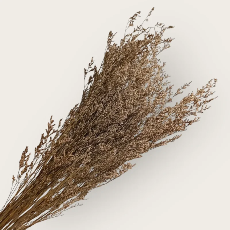 Dry Jipso (Packet As Shown) - Image 3