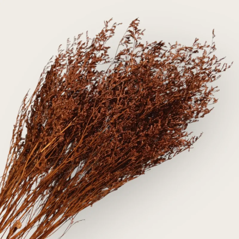 Dry Jipso (Packet As Shown) - Image 12