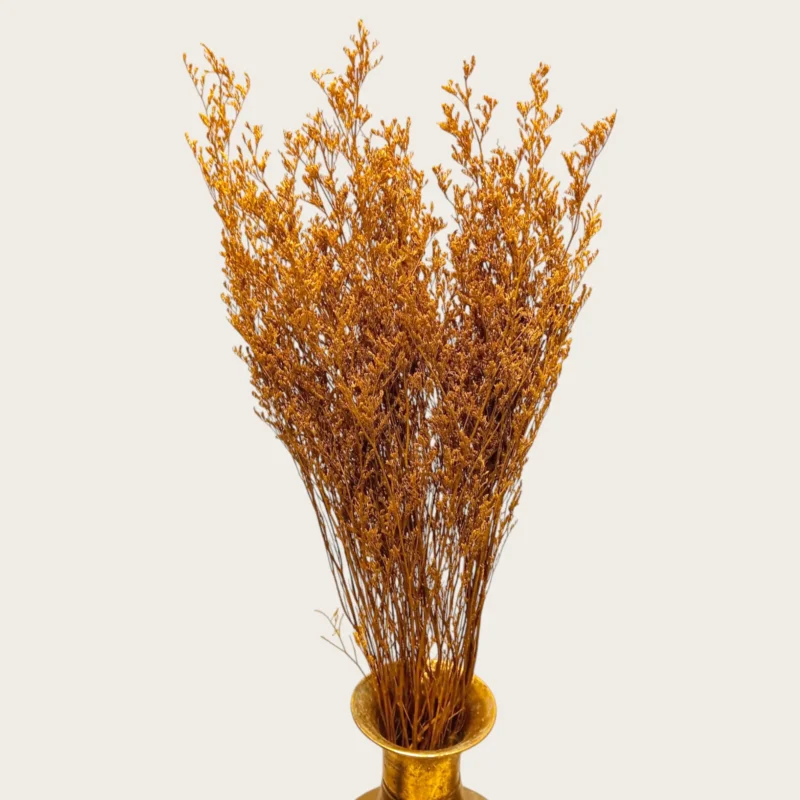 Dry Jipso (Packet As Shown) - Image 11