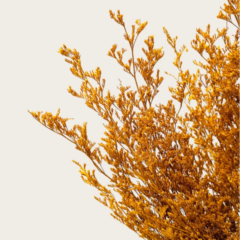 Dry Jipso (Packet As Shown) - Image 10