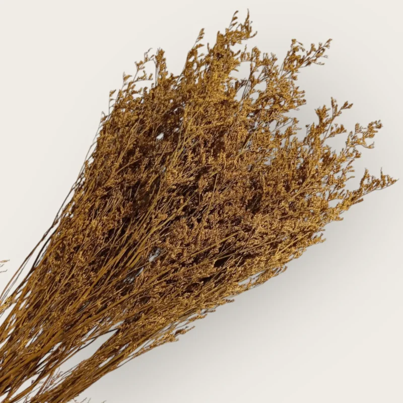 Dry Jipso (Packet As Shown) - Image 8