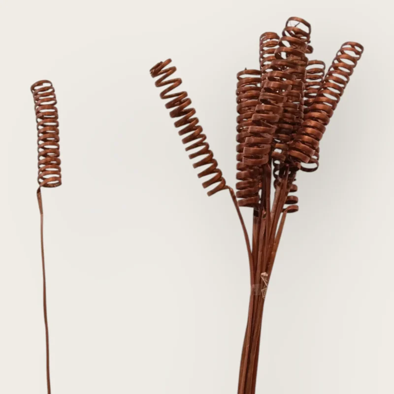 Dry Spring (Pack of 10 Sticks) - Image 4