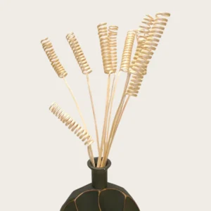 Dry Spring (Pack of 10 Sticks)