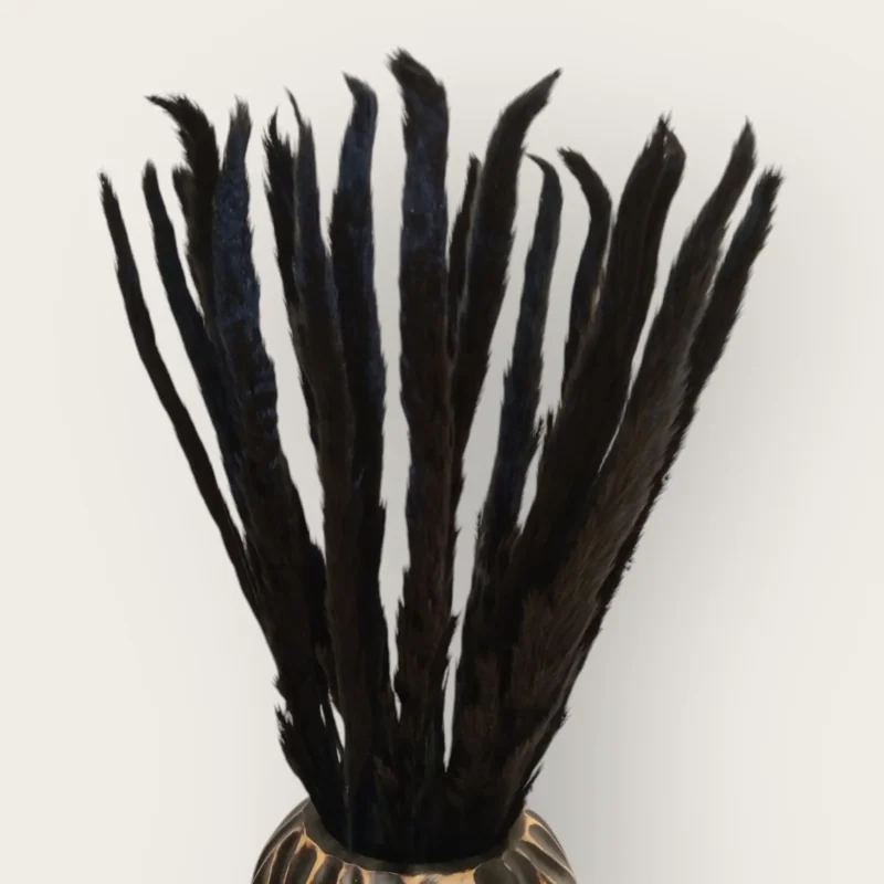 Pampas Feather (Pack of 20 Sticks) - Image 9