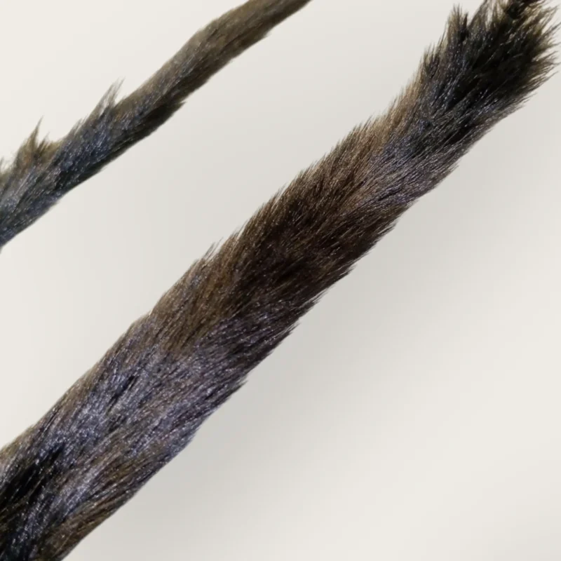 Pampas Feather (Pack of 20 Sticks) - Image 8