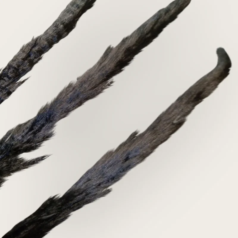 Pampas Feather (Pack of 20 Sticks) - Image 7