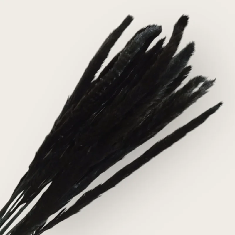 Pampas Feather (Pack of 20 Sticks) - Image 6