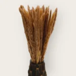 Pampas Feather (Pack of 20 Sticks)