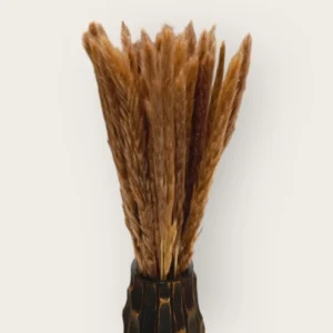 Pampas Feather (Pack of 20 Sticks)