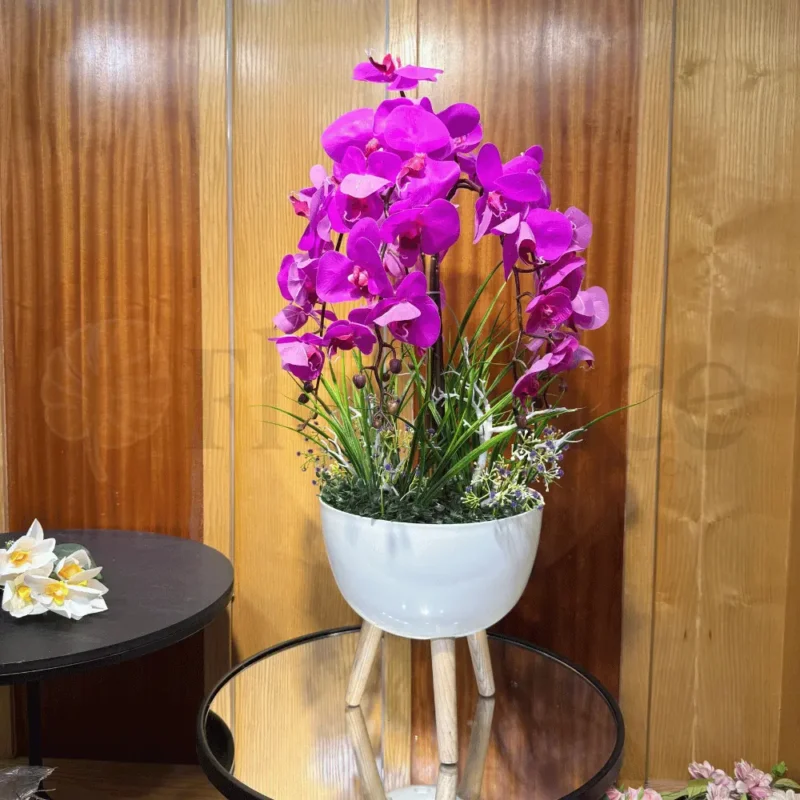 Orchid Arrangement with Imported Planter & Wooden Stand – 2.8Ft
