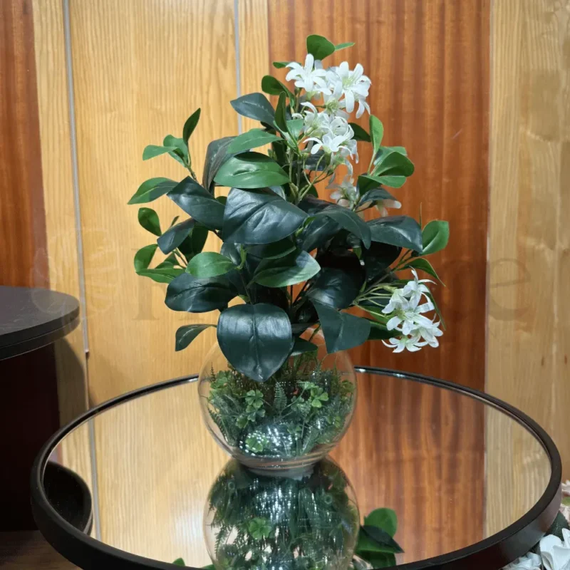 Iris Plant with Glass Pot – 1.5Ft