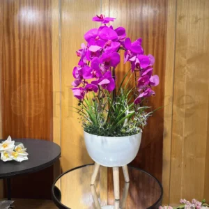 Orchid Arrangement with Imported Planter & Wooden Stand – 2.8Ft