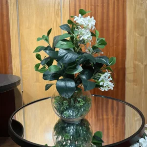 Iris Plant with Glass Pot – 1.5Ft